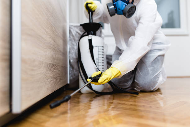 Best Bed Bug Extermination  in Donalsonville, GA