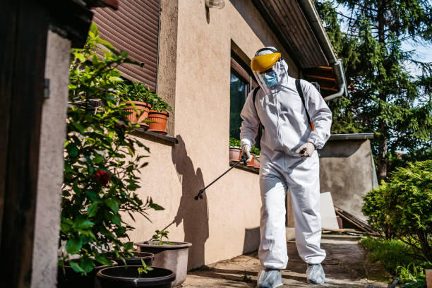 Best Bed Bug Extermination  in Donalsonville, GA