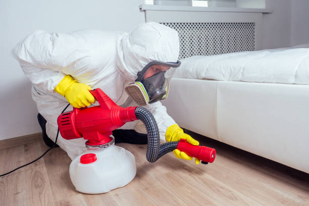 Best Pest Prevention Services  in Donalsonville, GA