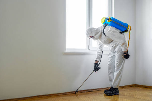 Reliable Donalsonville, GA Pest Control Solutions