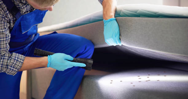 Trusted Donalsonville, GA Pest Control Experts