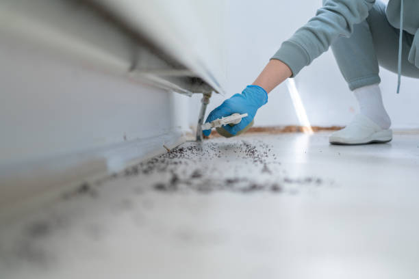 Best Emergency Pest Control  in Donalsonville, GA