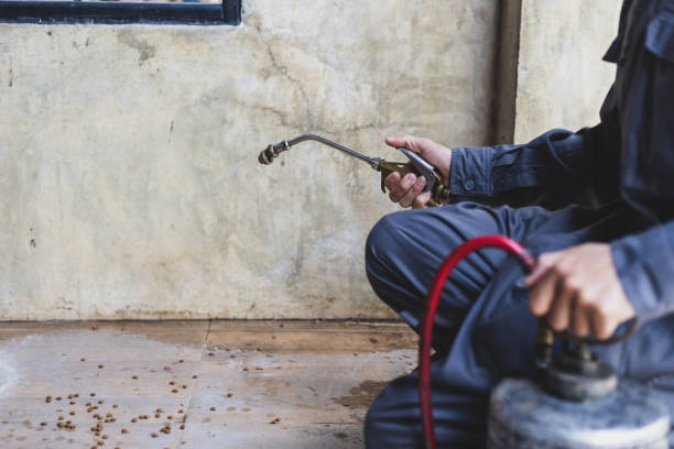 Best Affordable Pest Control Services  in Donalsonville, GA