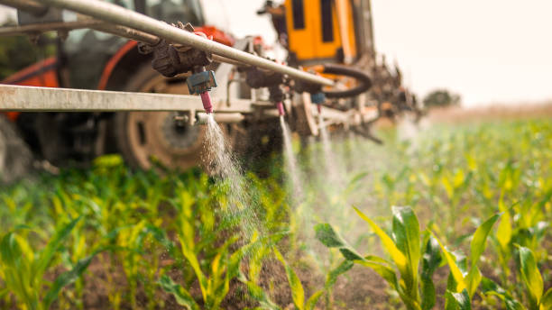 Best Wildlife Control Services  in Donalsonville, GA